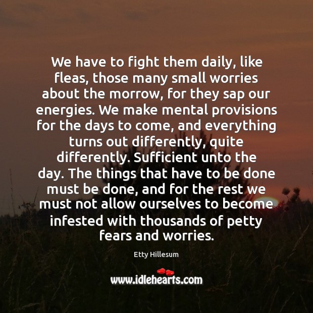 We have to fight them daily, like fleas, those many small worries Etty Hillesum Picture Quote