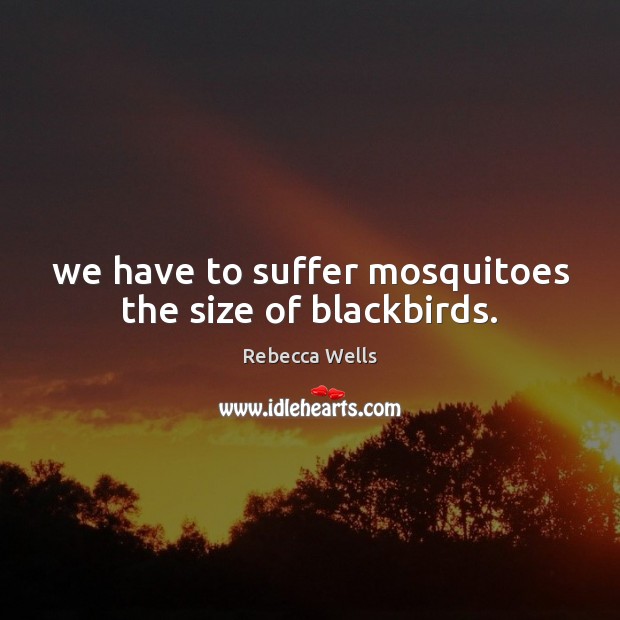 We have to suffer mosquitoes the size of blackbirds. Rebecca Wells Picture Quote