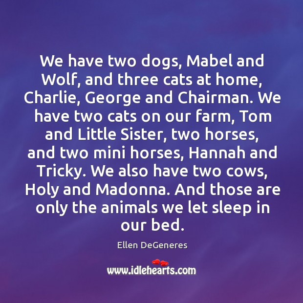 We have two dogs, Mabel and Wolf, and three cats at home, Image