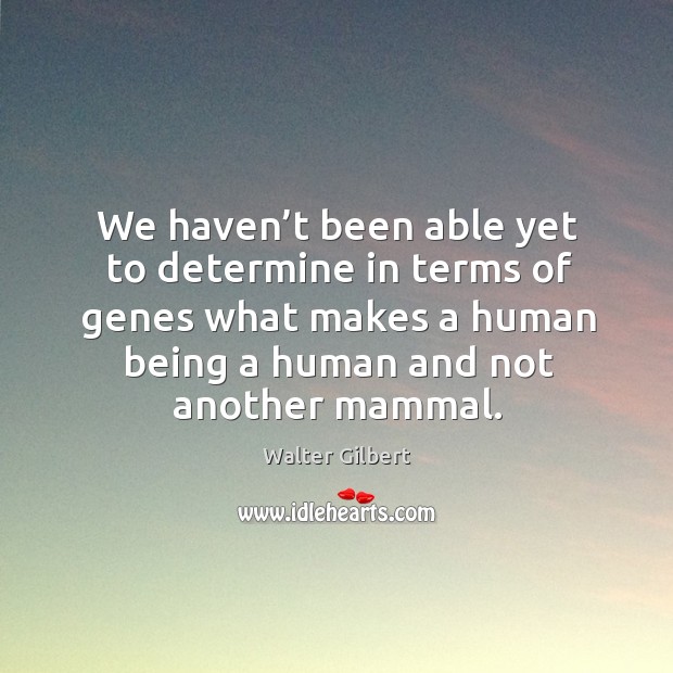 We haven’t been able yet to determine in terms of genes what makes a human being Walter Gilbert Picture Quote