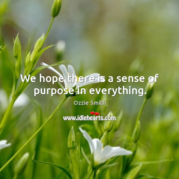 We hope there is a sense of purpose in everything. Ozzie Smith Picture Quote