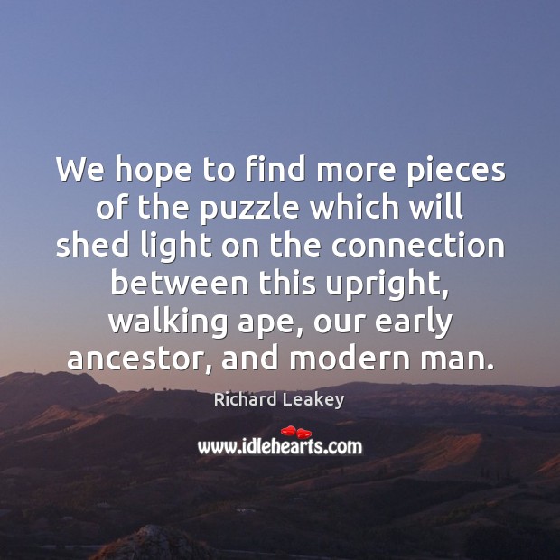 We hope to find more pieces of the puzzle which will shed Image