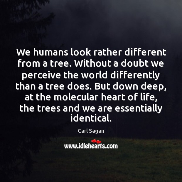 We humans look rather different from a tree. Without a doubt we Carl Sagan Picture Quote
