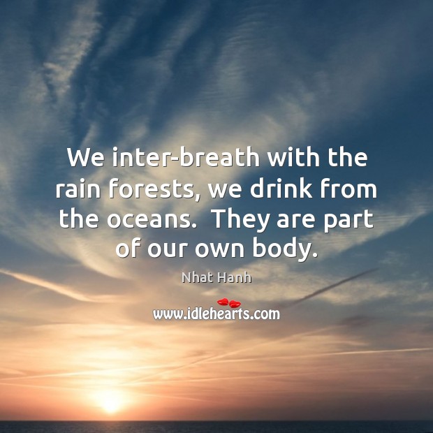 We inter-breath with the rain forests, we drink from the oceans.  They Nhat Hanh Picture Quote