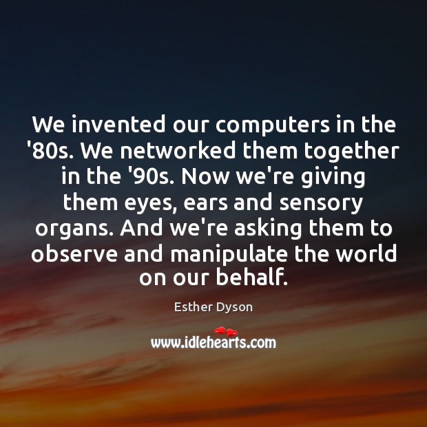 We invented our computers in the ’80s. We networked them together Esther Dyson Picture Quote