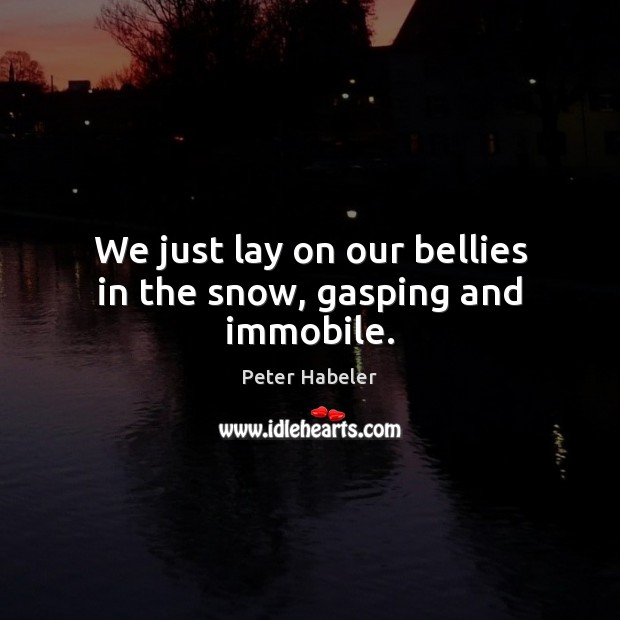 We just lay on our bellies in the snow, gasping and immobile. Peter Habeler Picture Quote