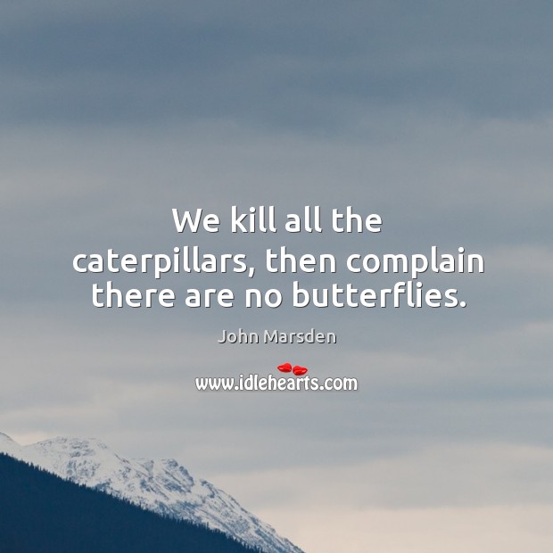 We kill all the caterpillars, then complain there are no butterflies. John Marsden Picture Quote
