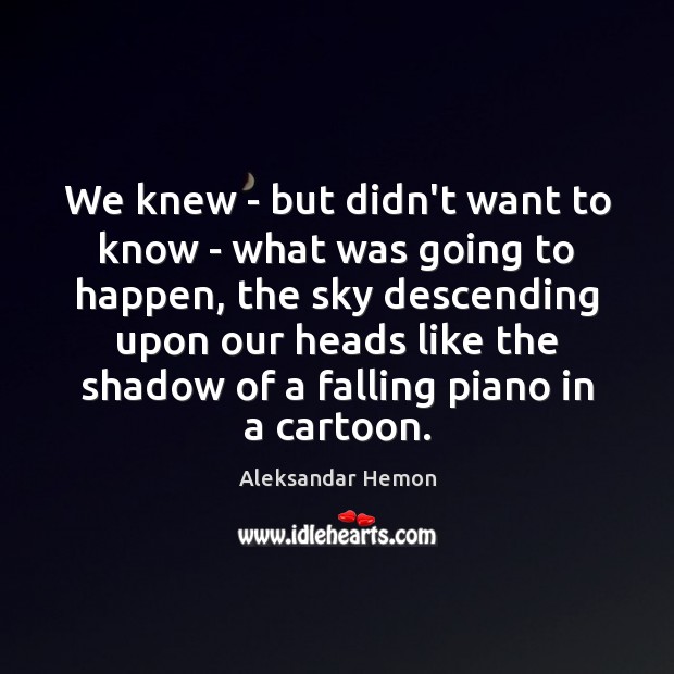 We knew – but didn’t want to know – what was going Aleksandar Hemon Picture Quote