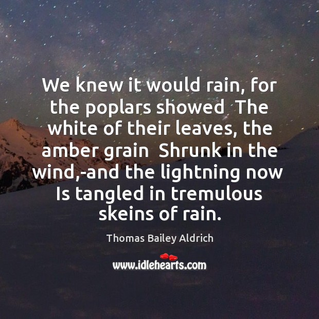 We knew it would rain, for the poplars showed  The white of Thomas Bailey Aldrich Picture Quote