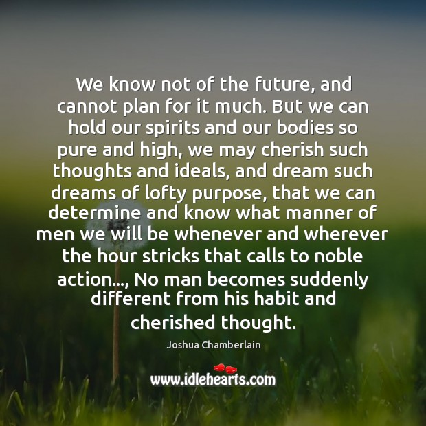 We know not of the future, and cannot plan for it much. Joshua Chamberlain Picture Quote