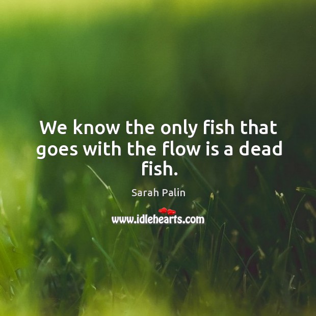 We know the only fish that goes with the flow is a dead fish. Sarah Palin Picture Quote