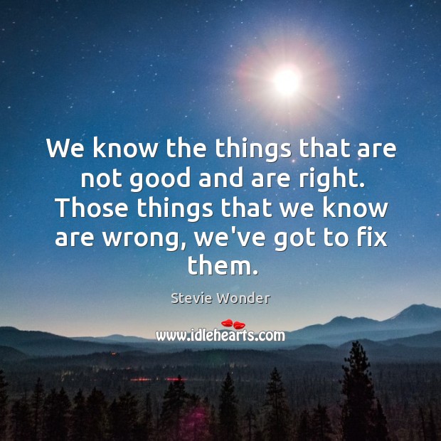 We know the things that are not good and are right. Those Stevie Wonder Picture Quote