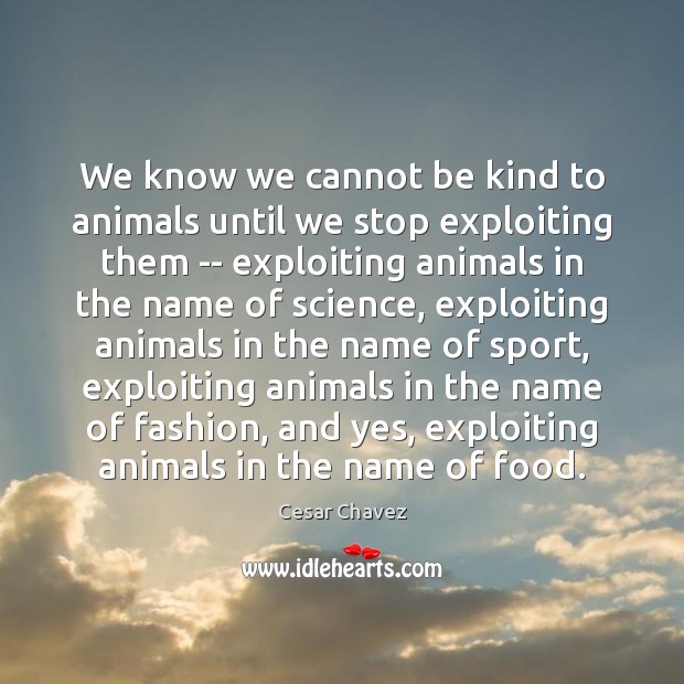We know we cannot be kind to animals until we stop exploiting Cesar Chavez Picture Quote