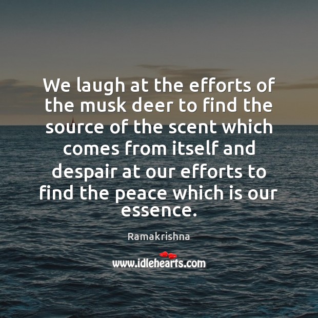 We laugh at the efforts of the musk deer to find the Image