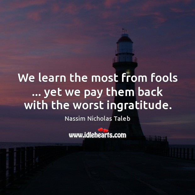 We learn the most from fools … yet we pay them back with the worst ingratitude. Image