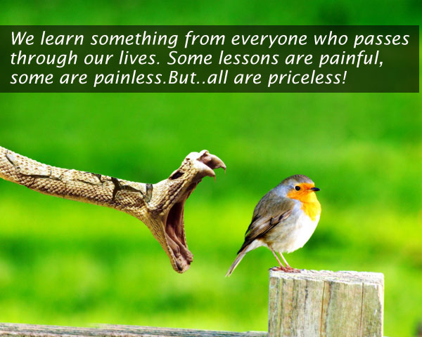 We learn something from everyone who passes through our lives Picture Quotes Image
