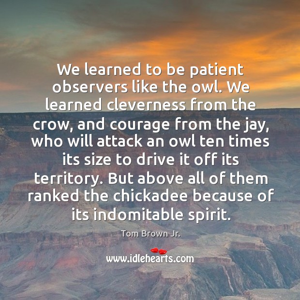 We learned to be patient observers like the owl. We learned cleverness from the crow Image