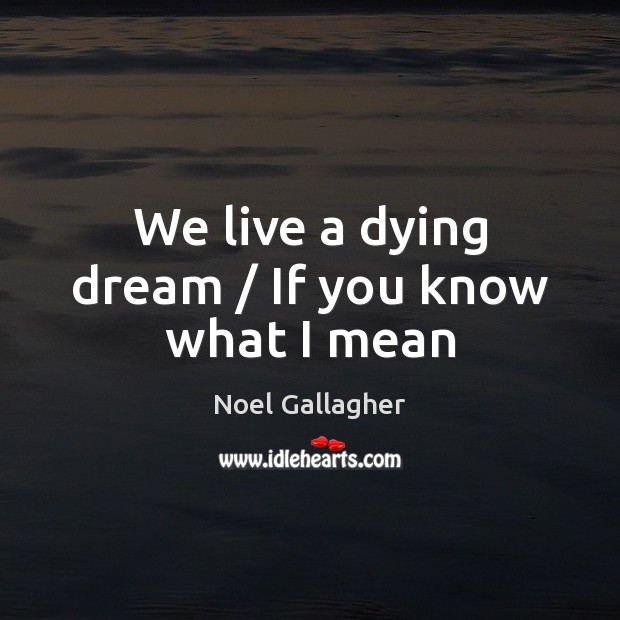 We live a dying dream / If you know what I mean Noel Gallagher Picture Quote