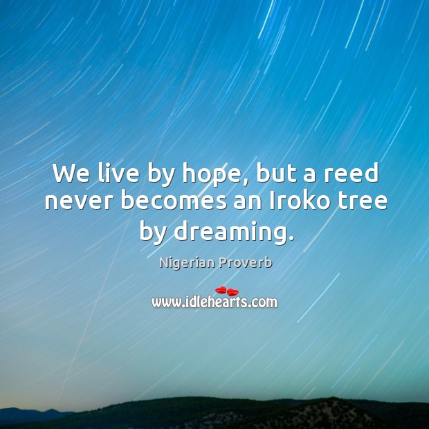 We live by hope, but a reed never becomes an iroko tree by dreaming. Nigerian Proverbs Image