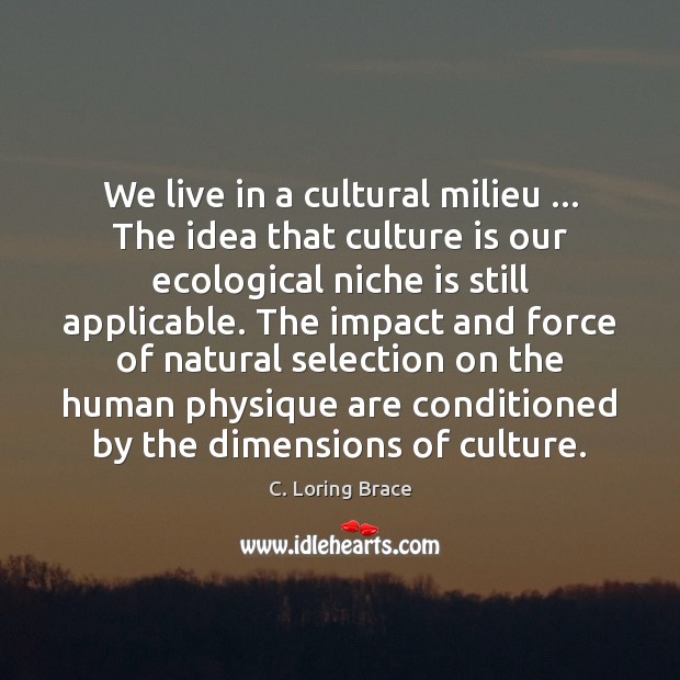 We live in a cultural milieu … The idea that culture is our 
