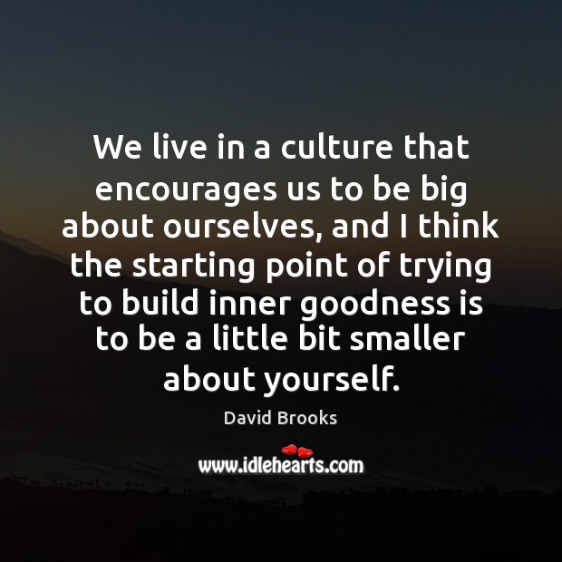 We live in a culture that encourages us to be big about David Brooks Picture Quote