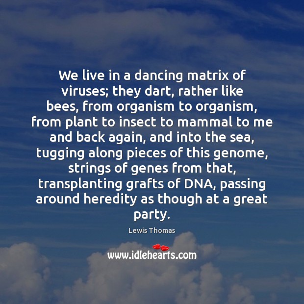 We live in a dancing matrix of viruses; they dart, rather like Lewis Thomas Picture Quote