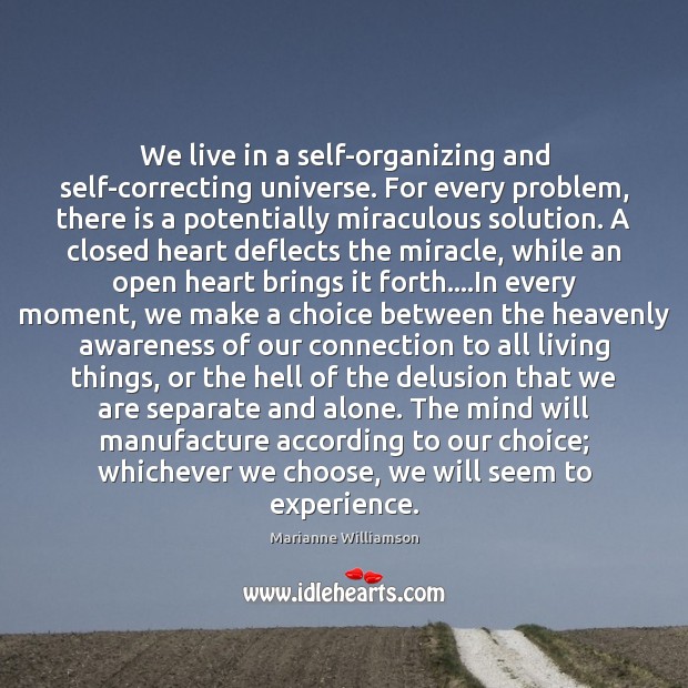 We live in a self-organizing and self-correcting universe. For every problem, there Marianne Williamson Picture Quote