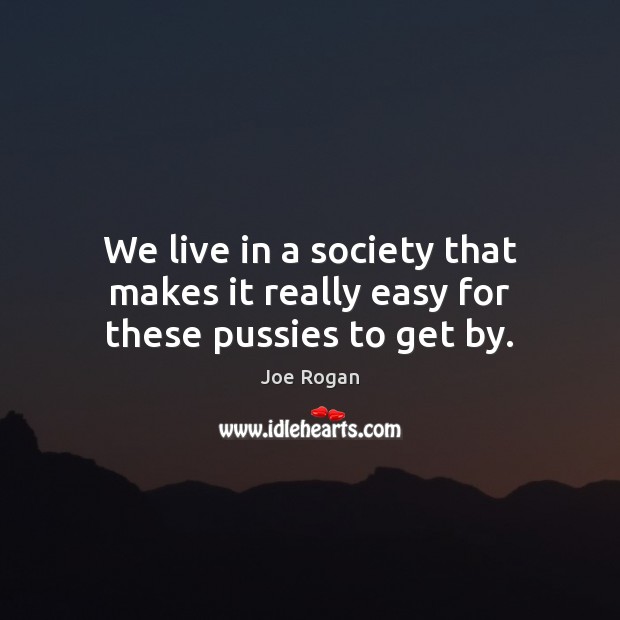 We live in a society that makes it really easy for these pussies to get by. Joe Rogan Picture Quote