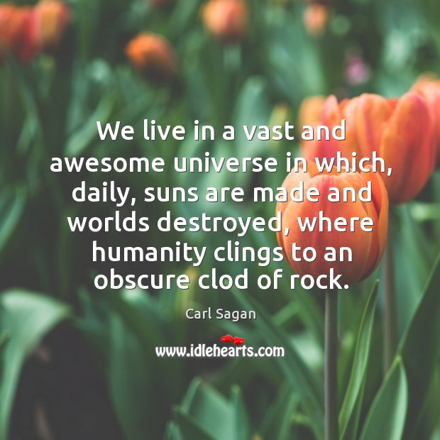 We live in a vast and awesome universe in which, daily, suns Carl Sagan Picture Quote