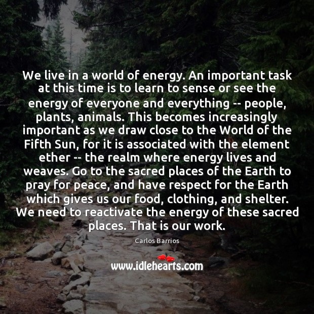 We live in a world of energy. An important task at this Carlos Barrios Picture Quote