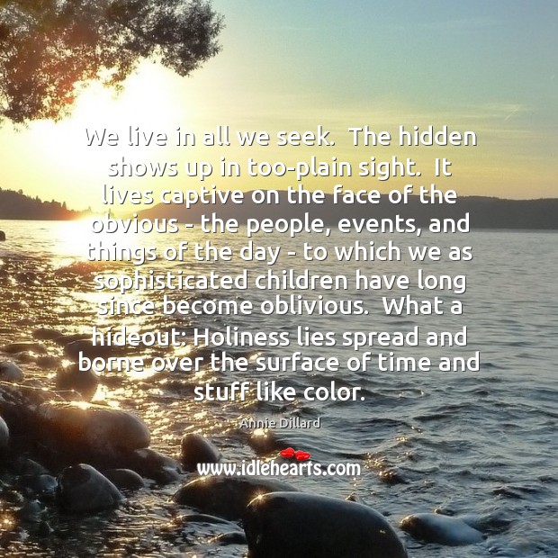 We live in all we seek.  The hidden shows up in too-plain Annie Dillard Picture Quote