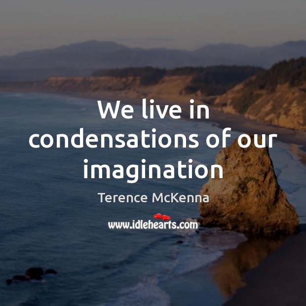 We live in condensations of our imagination Terence McKenna Picture Quote