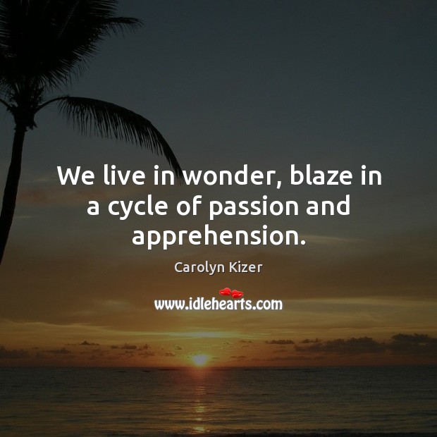 We live in wonder, blaze in a cycle of passion and apprehension. Carolyn Kizer Picture Quote