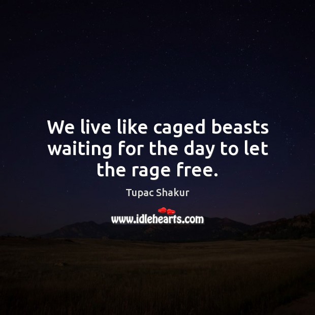 We live like caged beasts waiting for the day to let the rage free. 