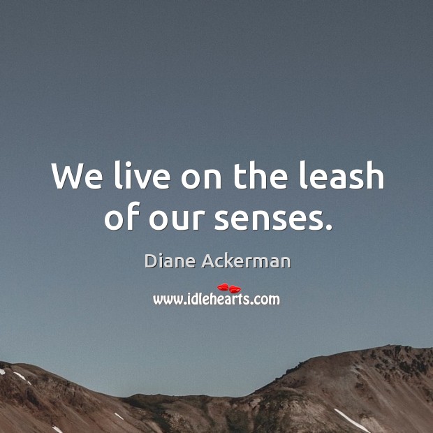 We live on the leash of our senses. Diane Ackerman Picture Quote