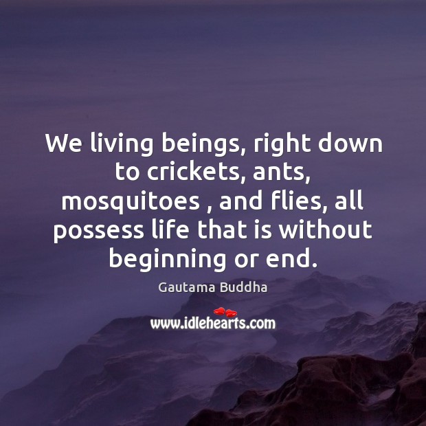 We living beings, right down to crickets, ants, mosquitoes , and flies, all Gautama Buddha Picture Quote