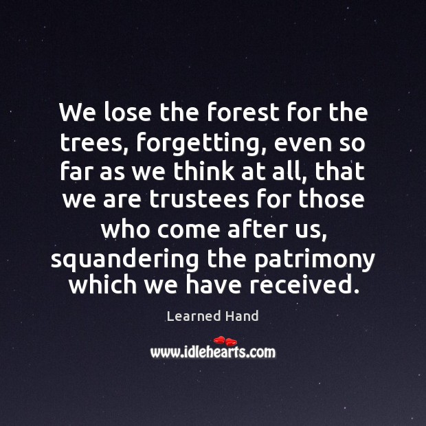 We lose the forest for the trees, forgetting, even so far as Learned Hand Picture Quote