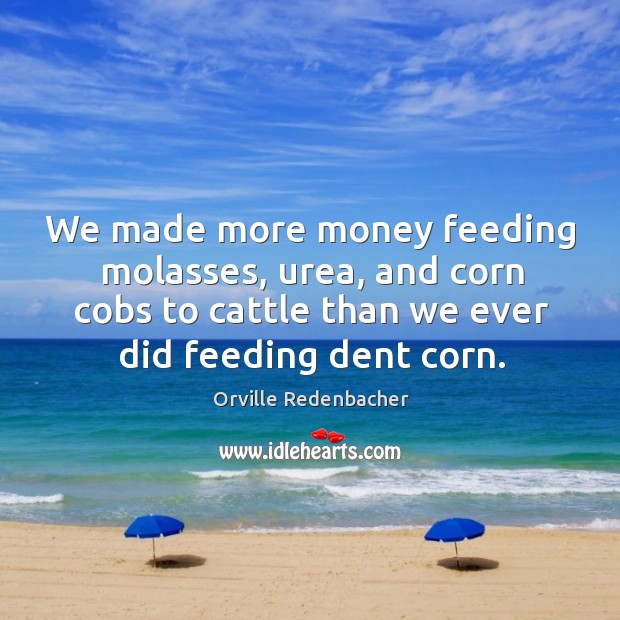 We made more money feeding molasses, urea, and corn cobs to cattle than we ever did feeding dent corn. Orville Redenbacher Picture Quote
