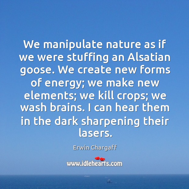 We manipulate nature as if we were stuffing an Alsatian goose. We Erwin Chargaff Picture Quote