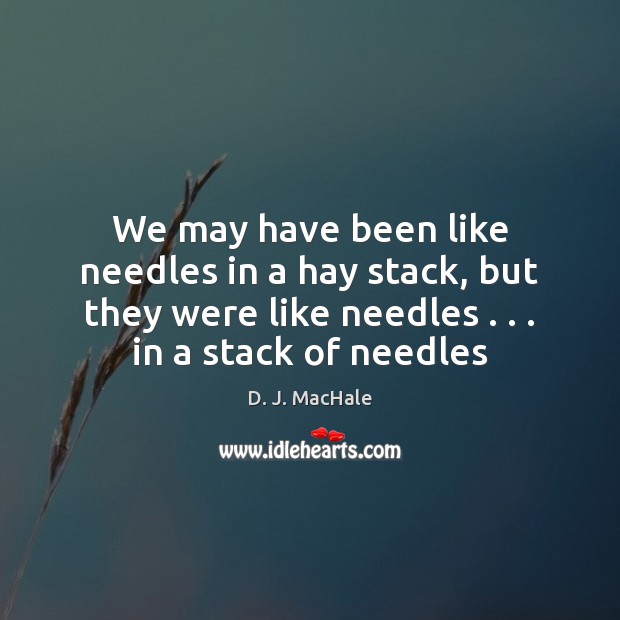 We may have been like needles in a hay stack, but they D. J. MacHale Picture Quote