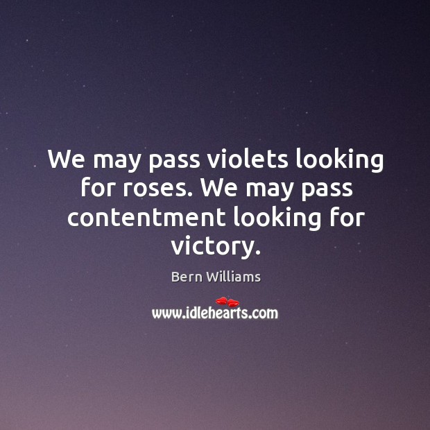 We may pass violets looking for roses. We may pass contentment looking for victory. Image