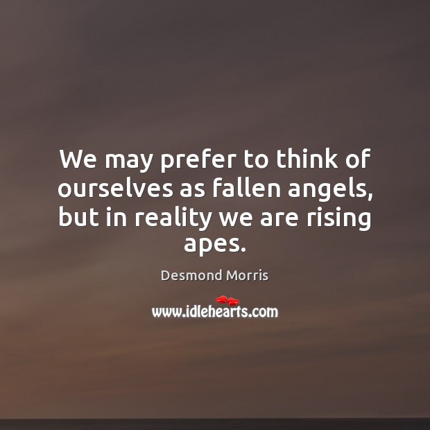 We may prefer to think of ourselves as fallen angels, but in reality we are rising apes. Desmond Morris Picture Quote