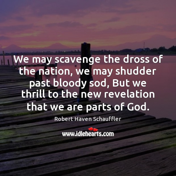 We may scavenge the dross of the nation, we may shudder past Robert Haven Schauffler Picture Quote