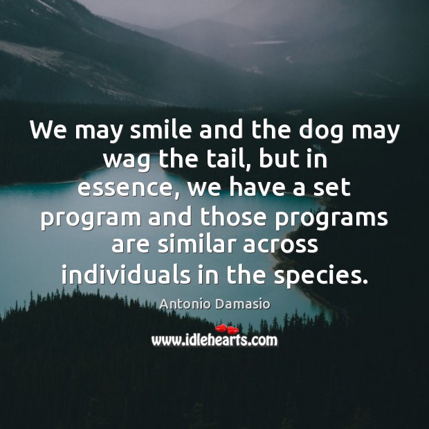 We may smile and the dog may wag the tail, but in Image