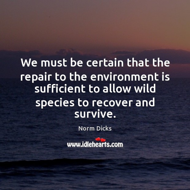 We must be certain that the repair to the environment is sufficient Norm Dicks Picture Quote