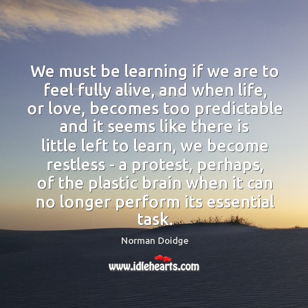 We must be learning if we are to feel fully alive, and Norman Doidge Picture Quote