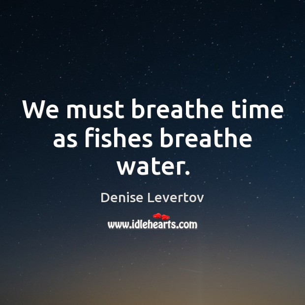 We must breathe time as fishes breathe water. Denise Levertov Picture Quote