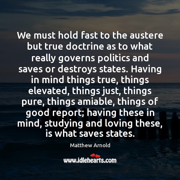 We must hold fast to the austere but true doctrine as to Politics Quotes Image