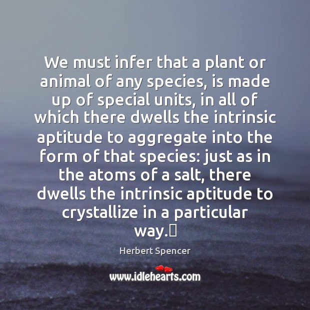 We must infer that a plant or animal of any species, is Herbert Spencer Picture Quote