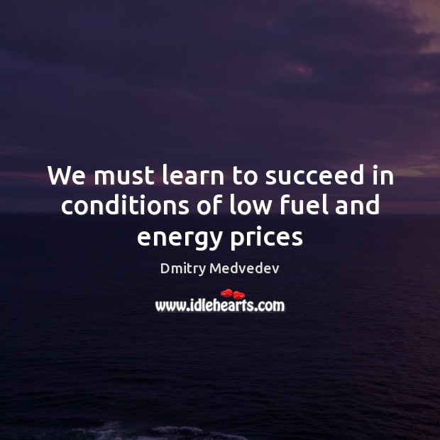 We must learn to succeed in conditions of low fuel and energy prices Dmitry Medvedev Picture Quote